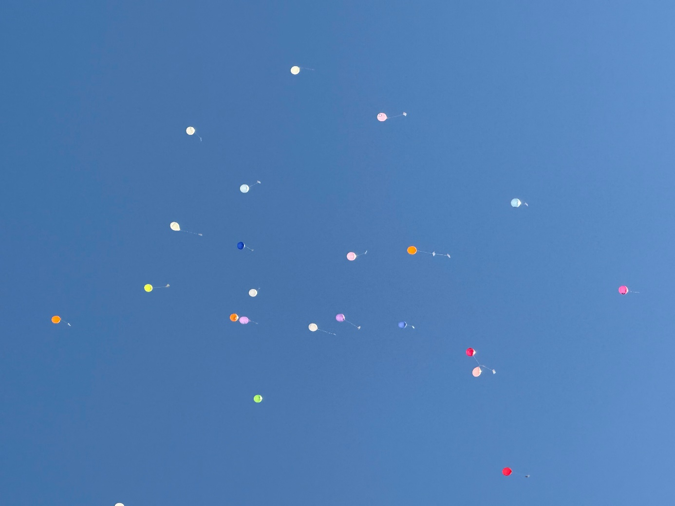 maskenball1 maskenball1