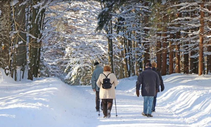 nbhs_winter nbhs_winter