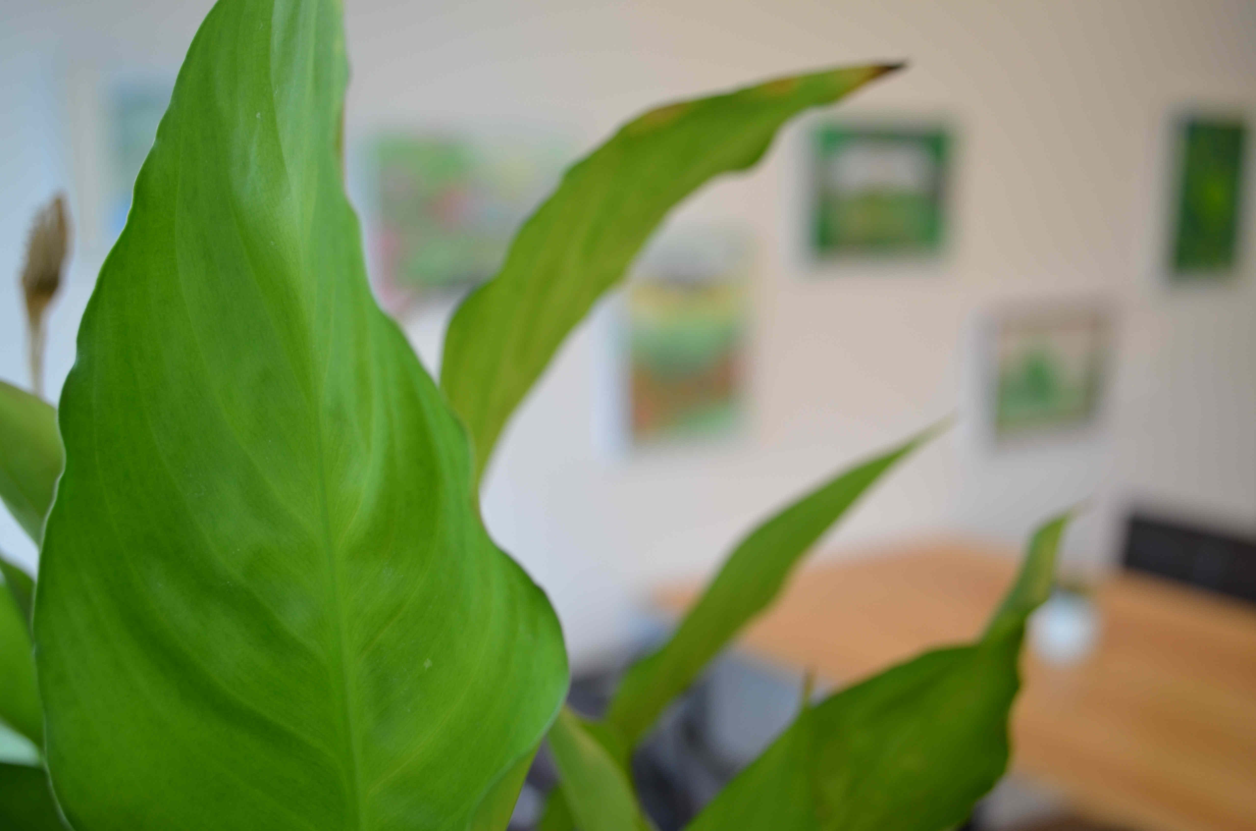 ausstellung1 ausstellung1